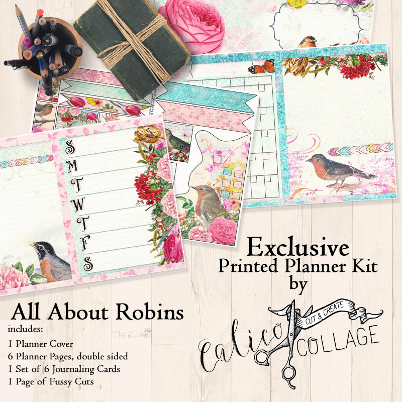 All About Robins Printed Planner Journal Kit