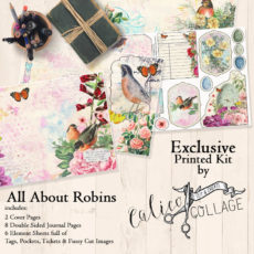All About Robins Printed Large Journal Kit