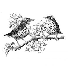 CFF235E Robins Rubber Stamp