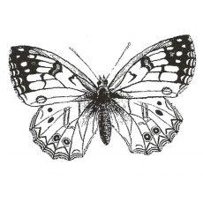CFF115D Butterfly Lg Rubber Stamp