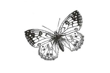 CFF121B Butterfly sm Rubber Stamp