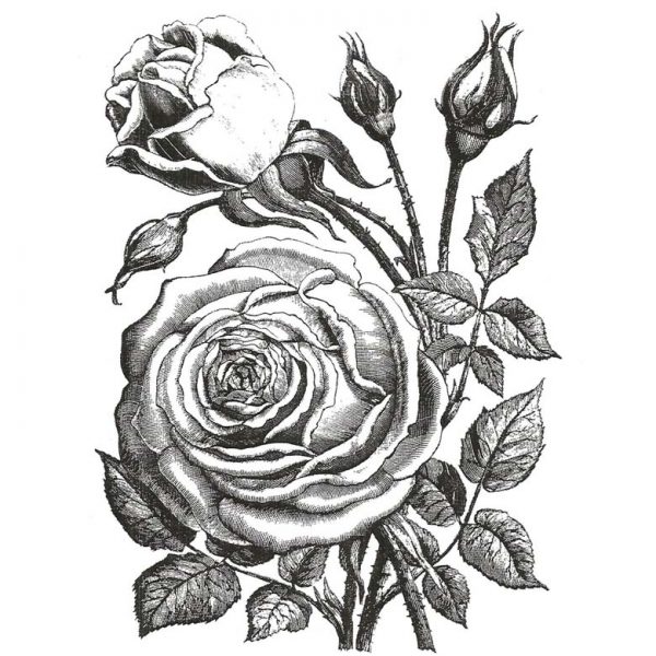 CFF127F Botanical Cabbage Rose Rubber Stamp
