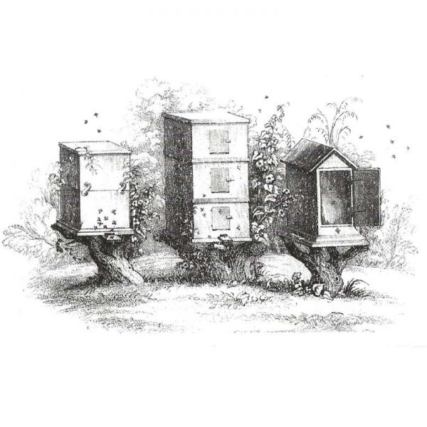 CFF129F Beehives Rubber Stamp
