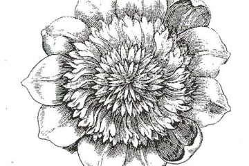 CFF612D Passionate Rubber Stamp