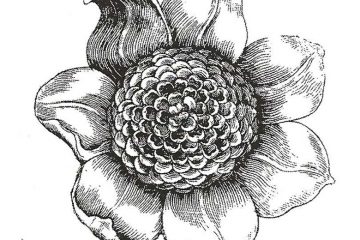 CFF614D Composed Rubber Stamp