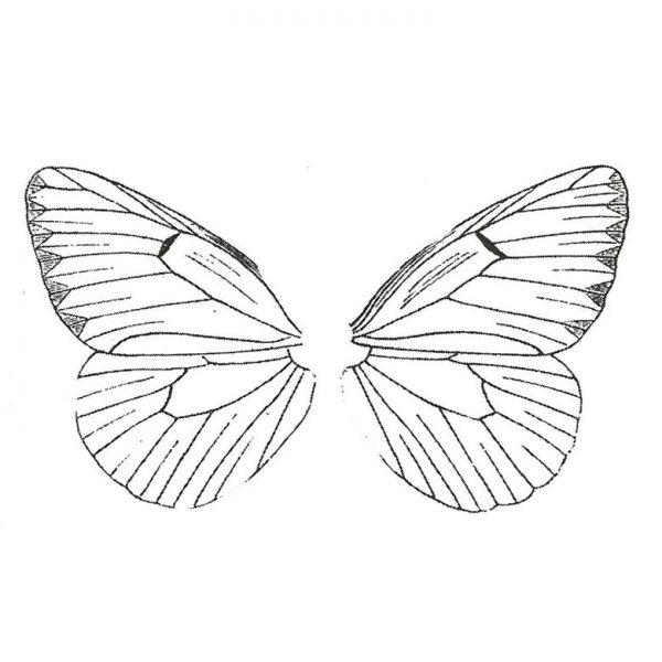 CWP117F Butterfly Wing Set Med rubber Stamps