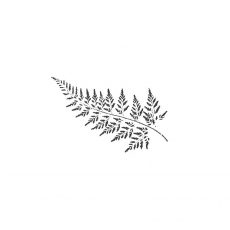 CFF323D Fern Small Rubber Stamp