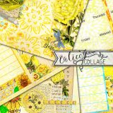 Creative Rainbow Youthful Yellow