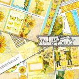 Creative Rainbow Youthful Yellow