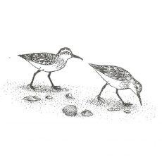 CNA233D Sandpipers Rubber Stamp