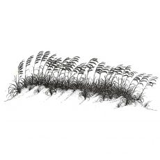 CNA235D Sea Oats on Dunes Rubber Stamp