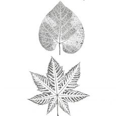 CFF2460G Pressed Leaf Duo Rubber Stamps