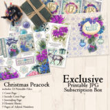 Christmas Peacock