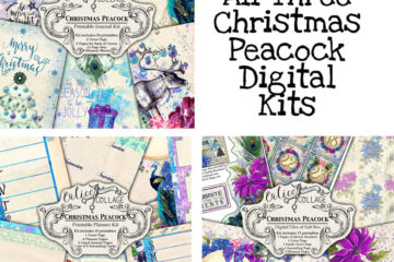All Three Christmas Peacock Digital Download