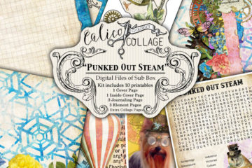 Punked Out Steam Digital Journal Kit from Sub Box