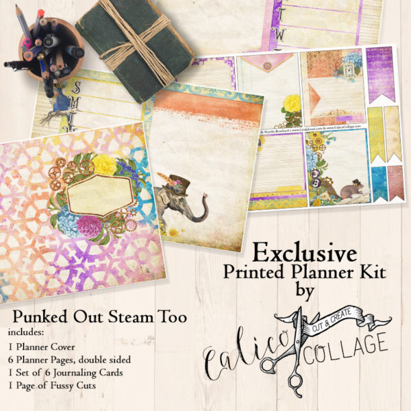 Punked Out Steam Too Printed Planner Kit