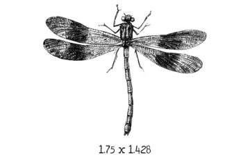 BD105D Dragonfly 3 Rubber Stamp