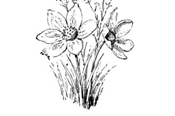 FD113D Sketched Wildflowers Rubber Stamp