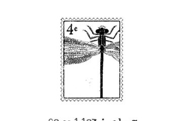 PC105B Dragonfly Postage Rubber Stamp