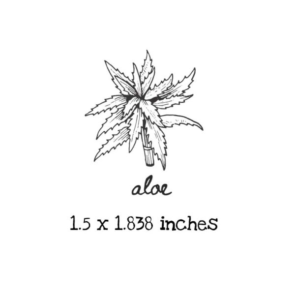 AP203C Aloe Rubber Stamps