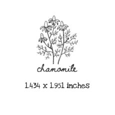 AP205C Chamomile Rubber Stamps
