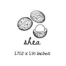 AP208C Shea Rubber Stamps