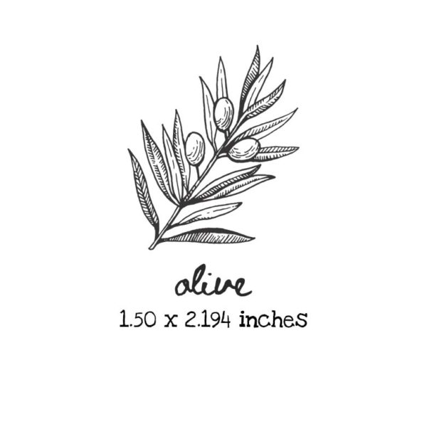 AP210C Olive Rubber Stamps