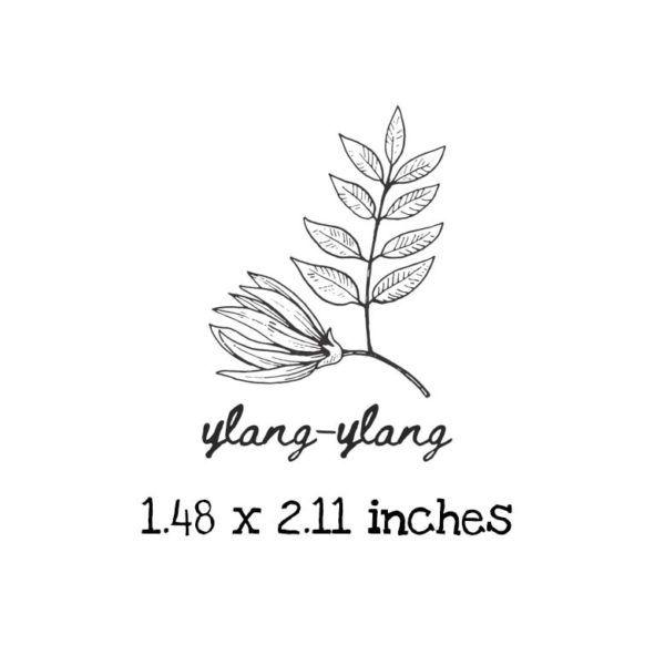 AP212C Ylang-Ylang Rubber Stamps