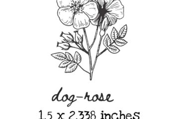AP215C Dog-Rose Rubber Stamps