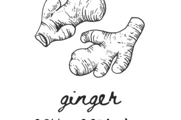 AP218C Ginger Rubber Stamps