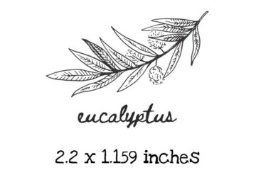 AP221C Eucalyptus Rubber Stamps