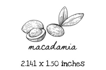 AP223C Macadamia Rubber Stamps