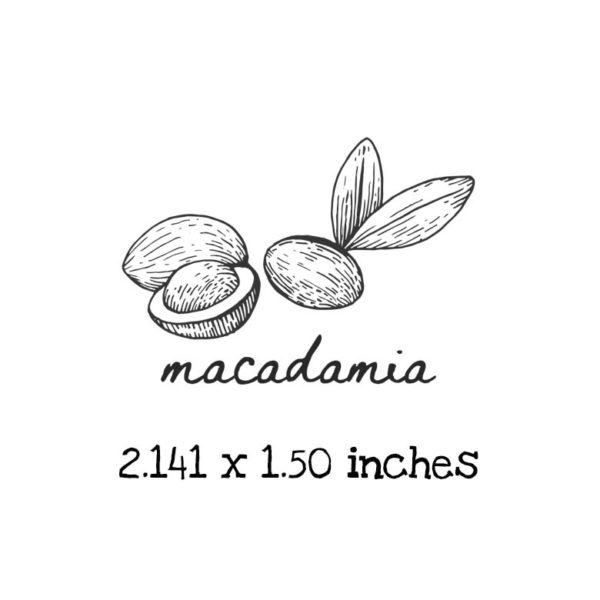 AP223C Macadamia Rubber Stamps