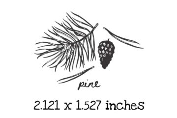 AP225C Pine Rubber Stamps