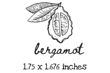 AP229C Bergamot Rubber Stamps