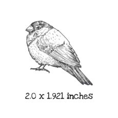 BD201C Little Bird Rubber Stamp