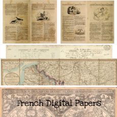 French Digital Papers Download