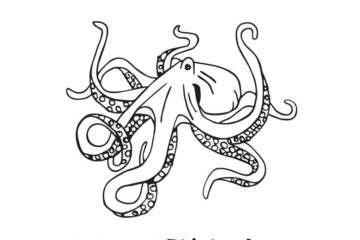 US108E Octopus Rubber Stamp