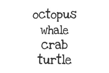 US117D Octopus Turtle QT Rubber Stamps