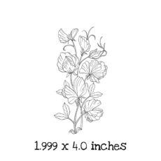 FL106F Sweet Pea Rubber Stamp