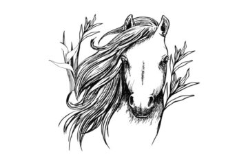 HR209D Sketched Horse Rubber Stamp