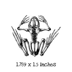 HA142C Frog Skeleton Rubber Stamp