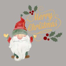 Merry Christmas Gnome T-Shirt
