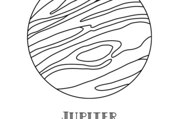 AS204D Jupiter Duo Rubber Stamps