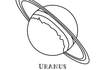 AS212D Uranus Duo Rubber Stamps