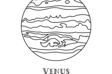 AS213D Venus Duo Rubber Stamps