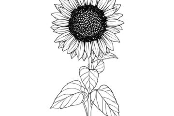 FL107F Sunflower Rubber Stamp